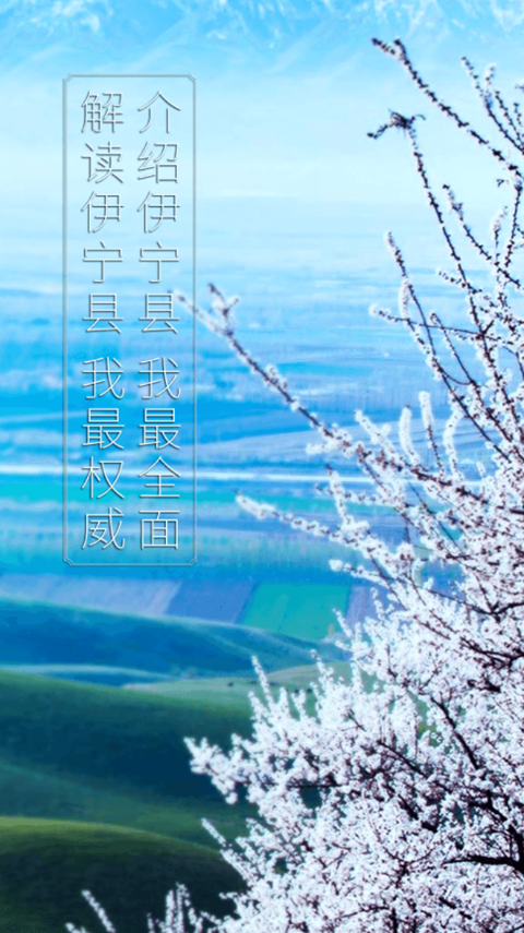 杏乡好地方截图展示1