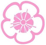 囧次元樱花动漫官网版