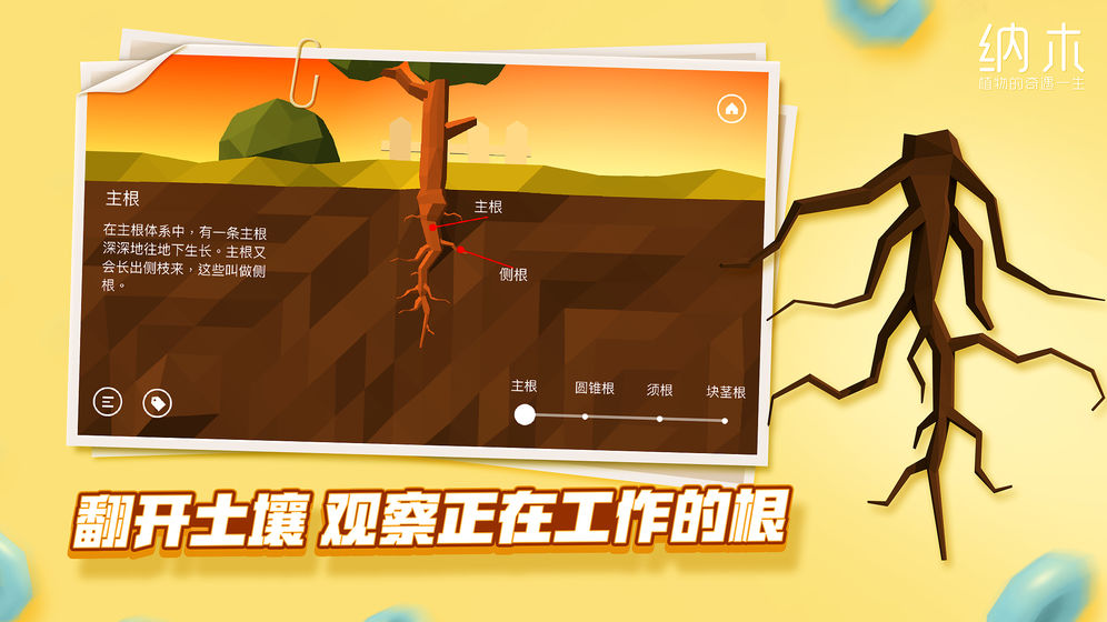 纳木截图展示5