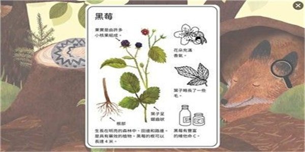 小松鼠的生活截图展示1