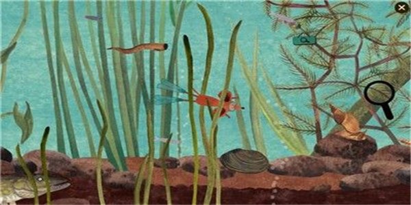 小松鼠的生活截图展示3