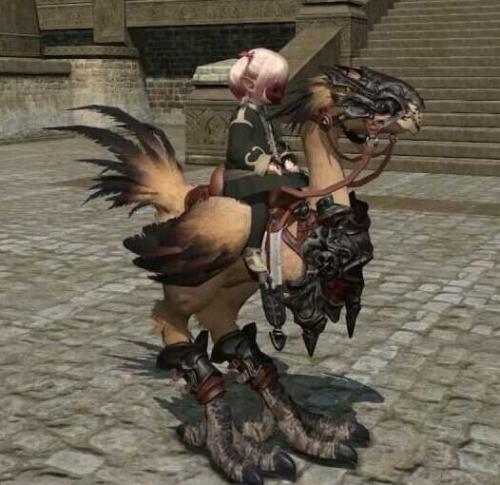 ff14陆行鸟染色和喂食方法分享