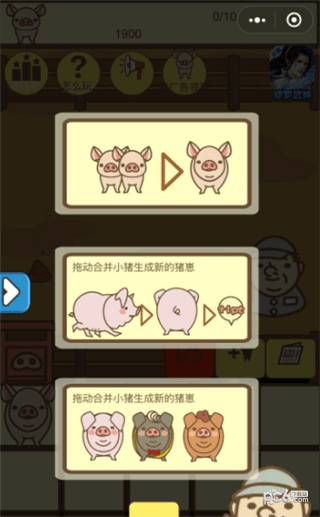 养猪大亨截图展示2
