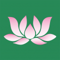 莲花停车