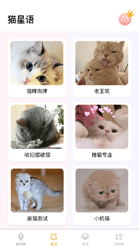 猫语截图展示2