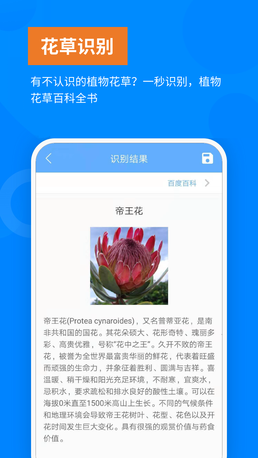 洋果扫描王截图展示2