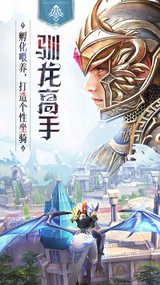 封龙战纪截图展示2