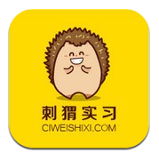 刺猬实习