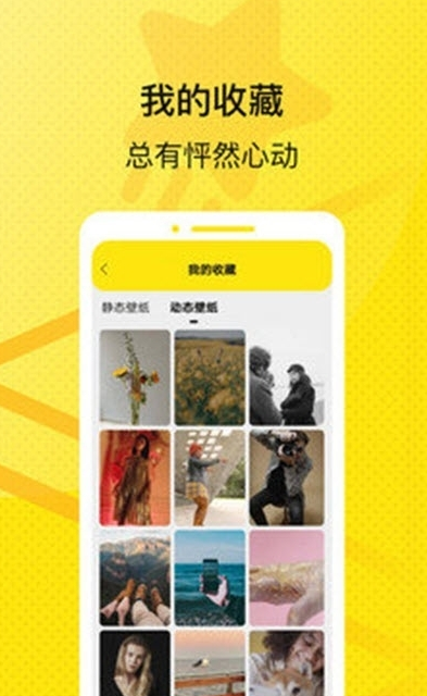 星星壁纸截图展示2