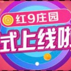 中天交易所官网