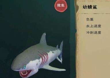 创造与魔法灰鲭鲨多少级可以抓 创造与魔法灰鲭鲨多少级可以抓