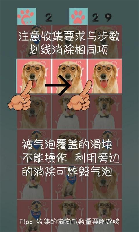 神犬小七消消乐截图展示3