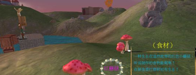 创造与魔法红蘑菇在哪里可以找到