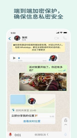 whatsapp安卓中文版截图展示2