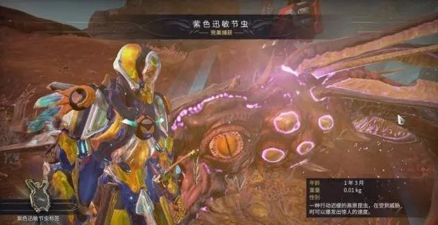 星际战甲同伴项圈在哪找
