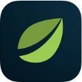 bybit交易所手机app
