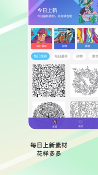 paint数字填色截图展示1