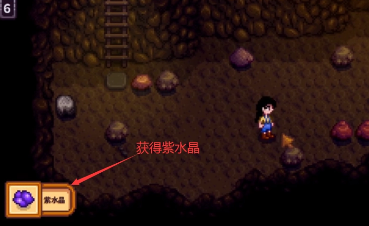 星露谷物语怎么去女巫森林 星露谷物语怎么去女巫森林