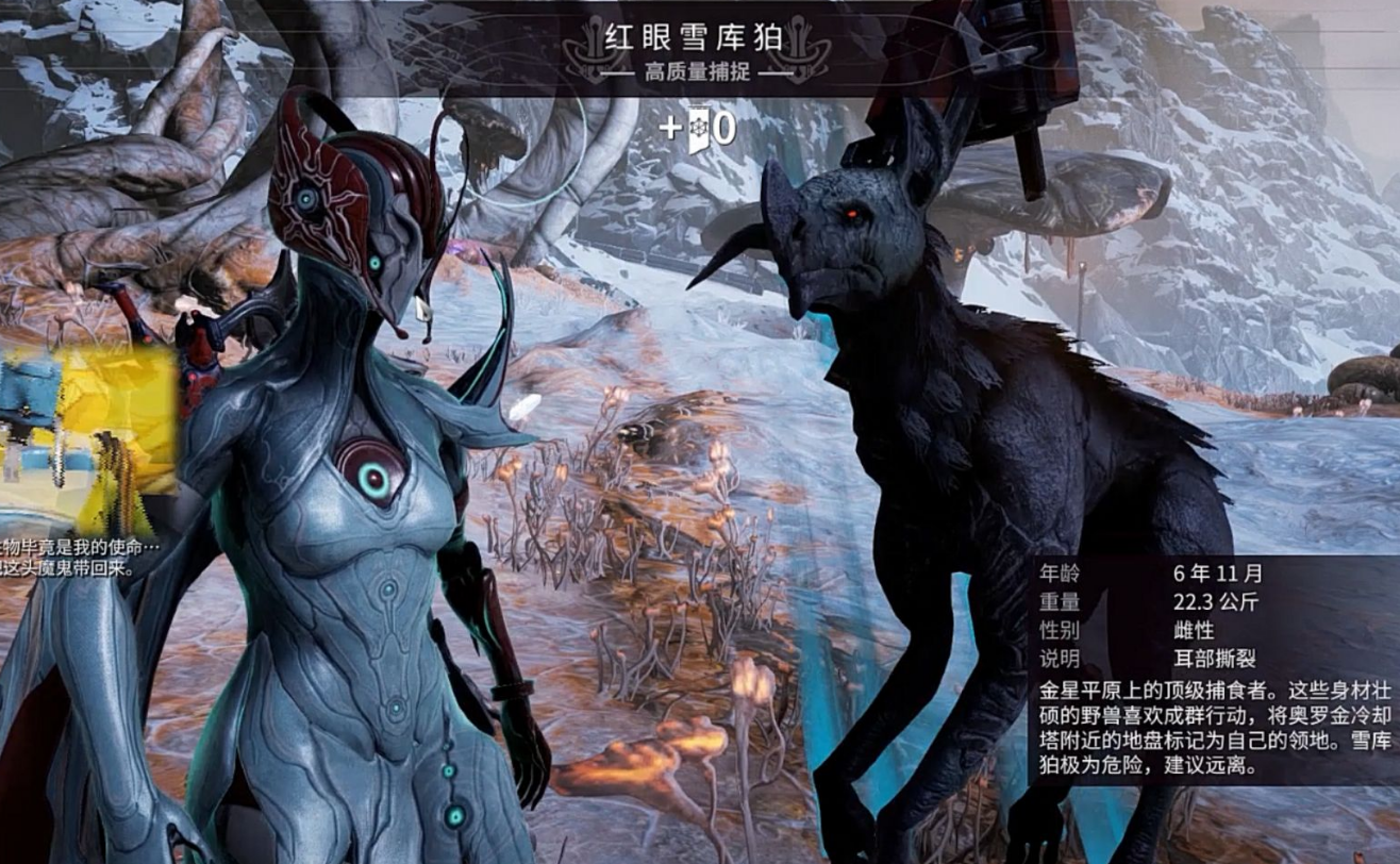 星际战甲野生动物怎么找 星际战甲野生动物怎么找