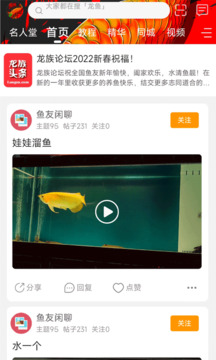 龙族2截图展示2