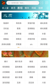龙族2截图展示1