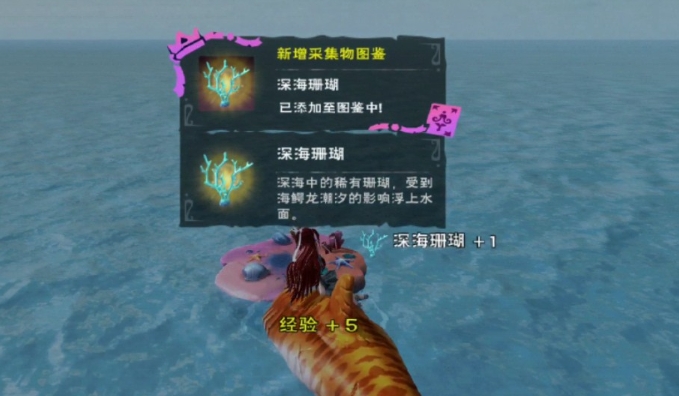 创造与魔法最新珊瑚位置在哪