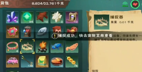 创造与魔法水池龟资质多少算极品