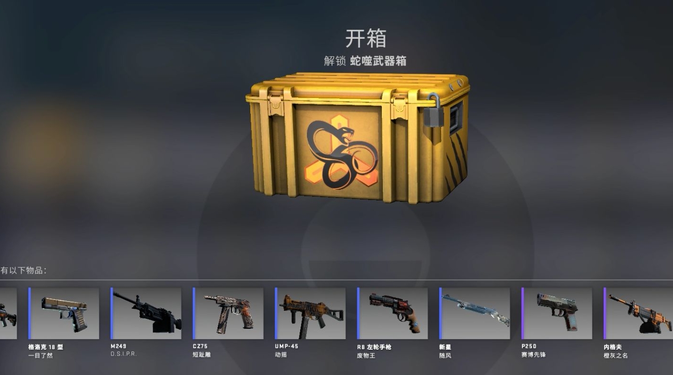 反恐精英武器箱出什么 反恐精英武器箱出什么