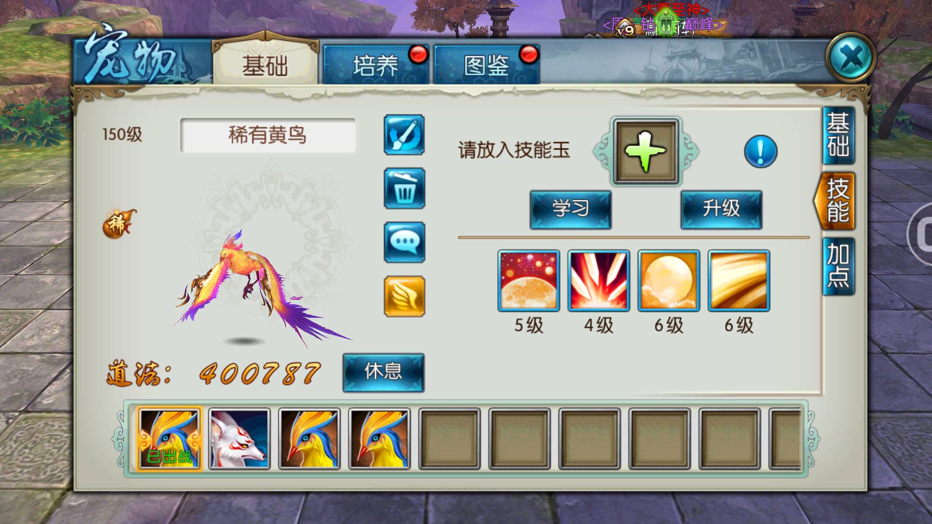 诛仙手游稀有猎鹰怎么加点