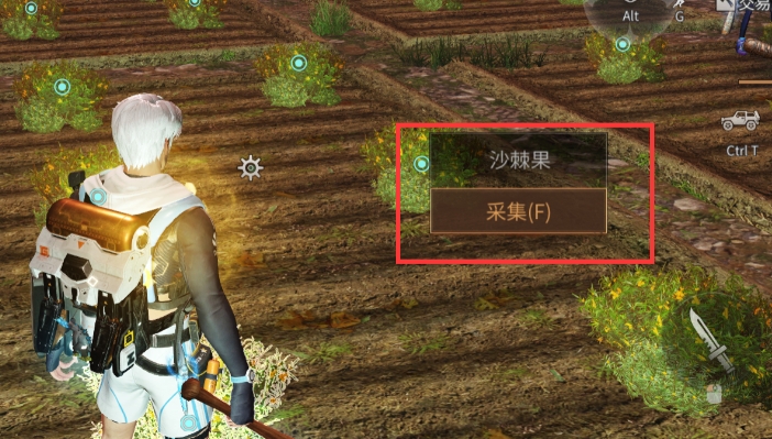 明日之后怎么种植 明日之后怎么种植