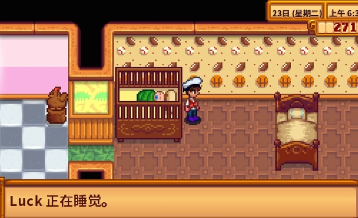 星露谷物语怎么生孩子