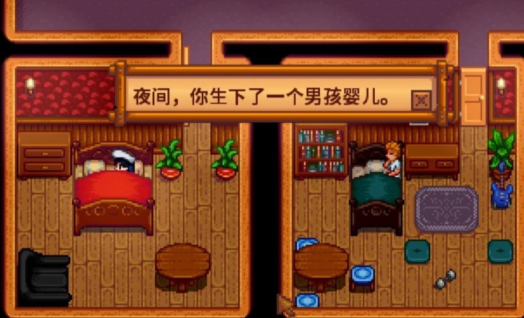 星露谷物语怎么生孩子