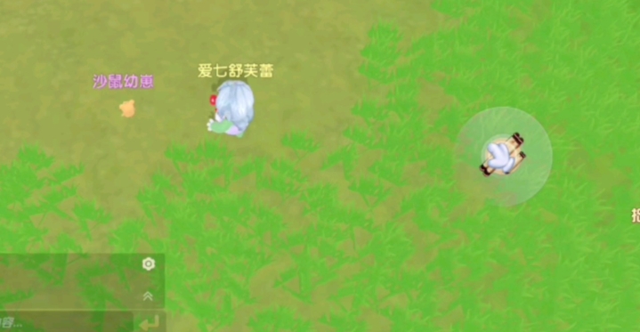 摩尔庄园灵兽怎么喂养