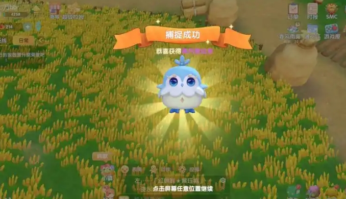 摩尔庄园灵兽怎么喂养