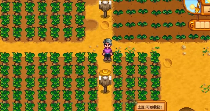 星露谷物语怎么制作稻草人