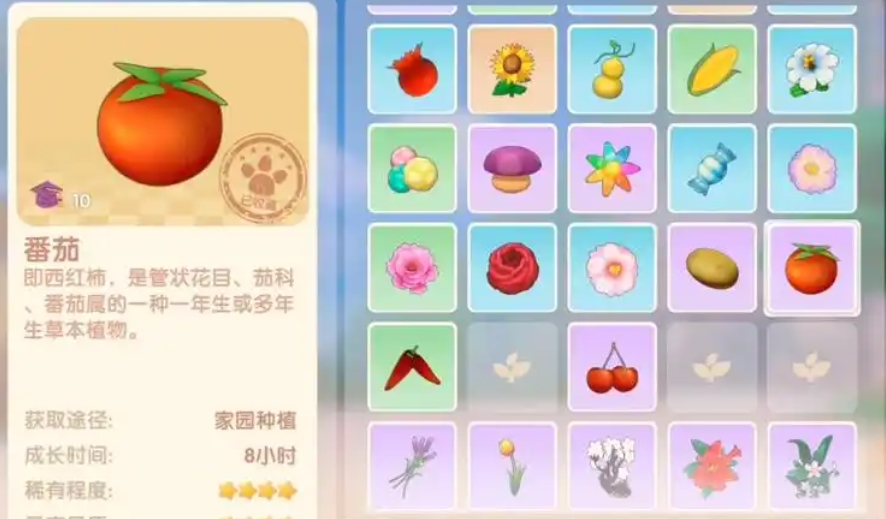 摩尔庄园怎么得番茄种子