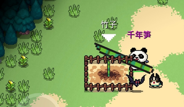 元气骑士千年笋怎么获得 元气骑士千年笋怎么获得
