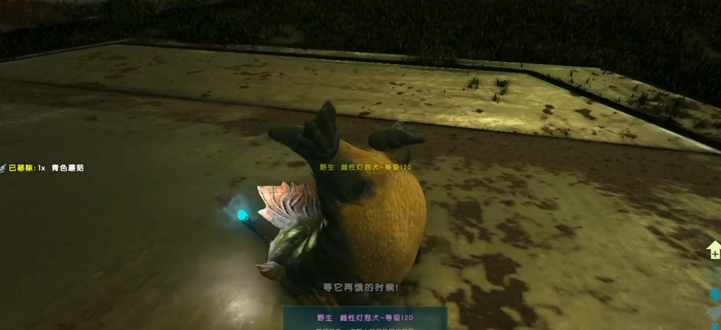方舟生存进化灯泡犬怎么驯服