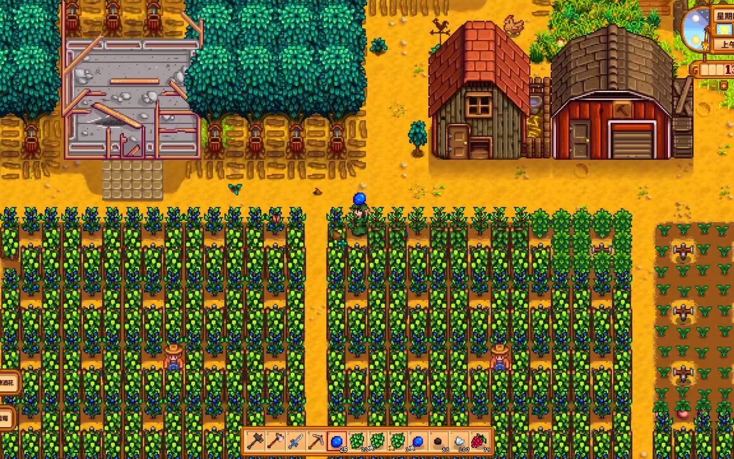 星露谷物语夏季种什么好 星露谷物语夏季种什么好