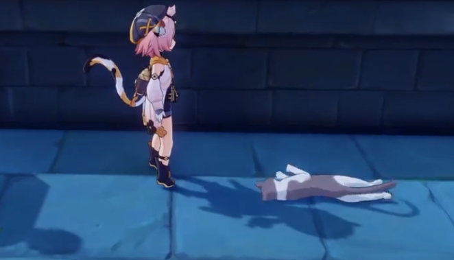 原神灰雪猫在哪里抓