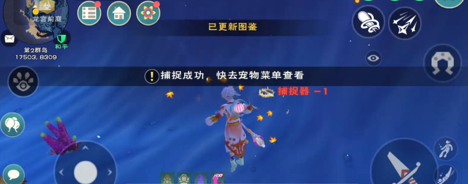 创造与魔法驯服宠物需要什么道具