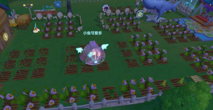 摩尔庄园菠萝怎么种出来