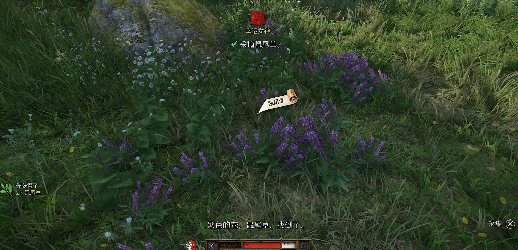 天国拯救2草药采集点在哪