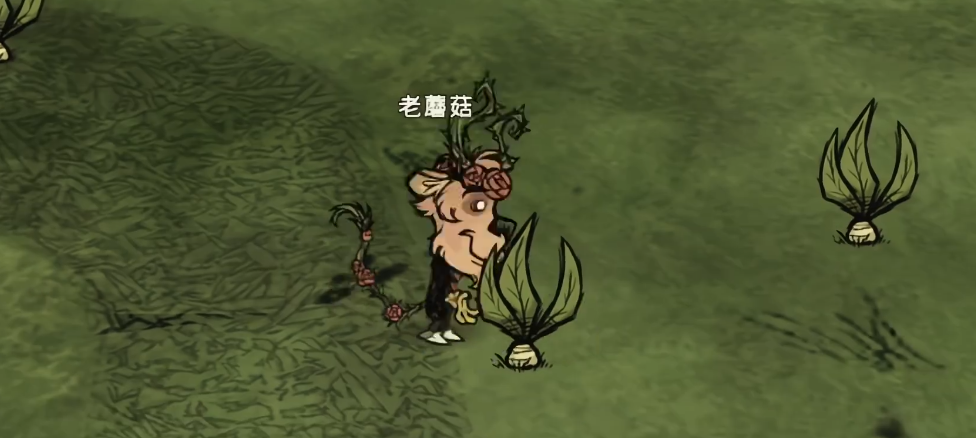 饥荒曼德拉草有什么用处 饥荒曼德拉草有什么用处