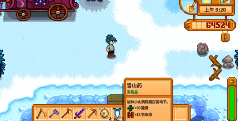 星露谷物语雪山药怎么获得
