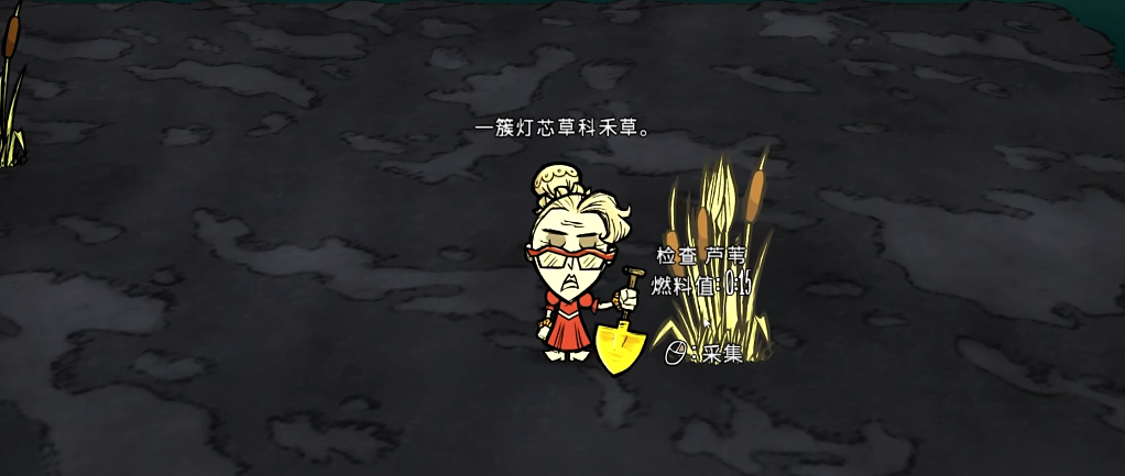 饥荒怎么获得芦苇