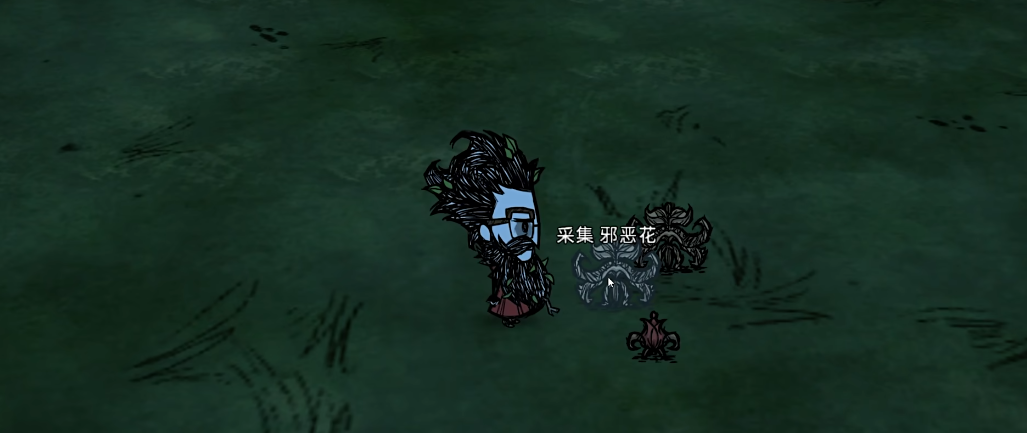 饥荒花有什么用 饥荒花有什么用