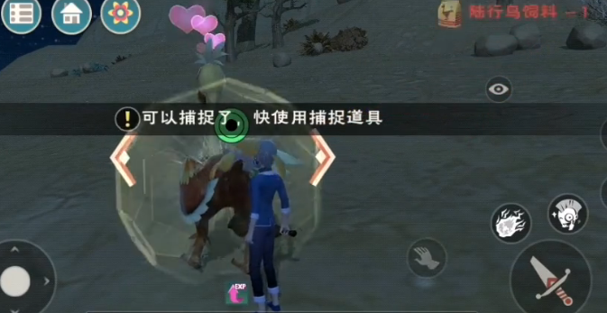 创造与魔法新版陆行鸟在哪里找