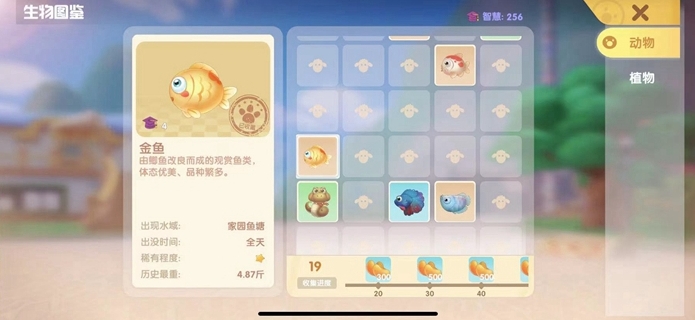 摩尔庄园金鱼怎么抓