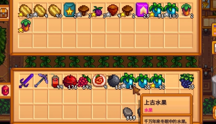 星露谷物语果干怎么制作 星露谷物语果干怎么制作